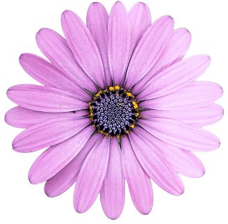 flower png